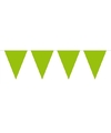 1x Mini vlaggenlijn-slinger lime groen 300 cm