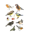 30x Vogels dieren stickers