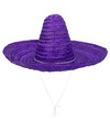 Carnaval verkleed Sombrero hoed Fiesta paars volwassenen polyester Luxe uitvoering