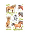 Getekende paarden stickers 3 vellen