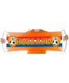 Holland banner met Leeuw 80 cm