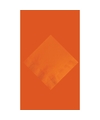Oranje-Holland thema tafeldecoratie set tafelkleed en 20 servett