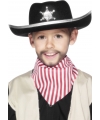 Verkleed Cowboyhoed voor kinderen