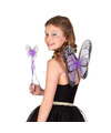 Verkleed set vlinder vleugels en toverstokje paars kinderen Carnavalskleding-accessoires