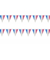 Vlaggenlijn Frankrijk blauw-wit-rood kunststof 10 meter
