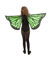 Vlinder vleugels groen voor kinderen Carnavalskleding-accessoires
